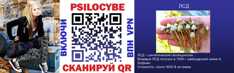Галлюциногенные грибы Psilocybine cubensis  наркота  Катайск 